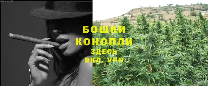 Марихуана SATIVA & INDICA  Котельники 